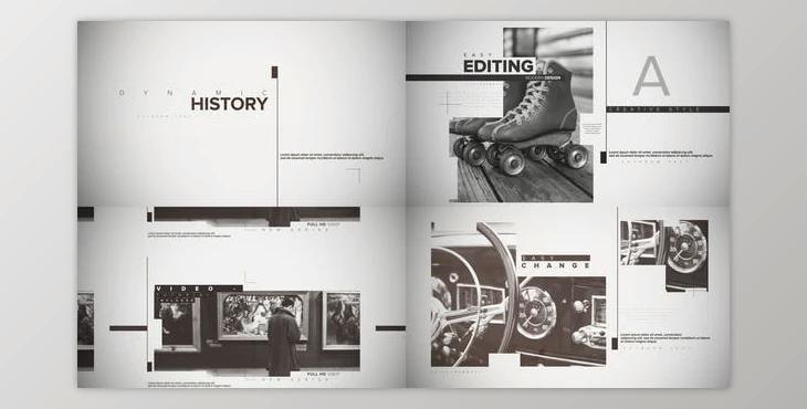 Dynamic History (Videohive 38020610) - PR Project
