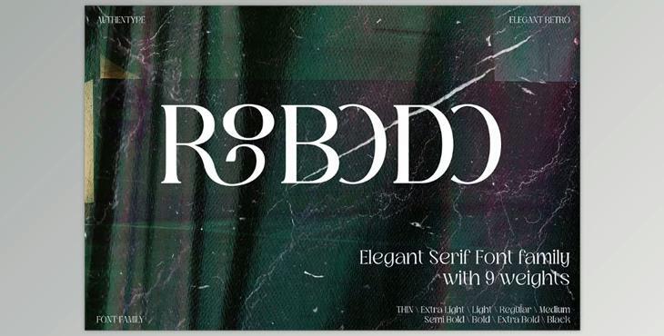 Robodo Serif Font Family Creative Market - 92031108