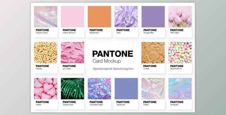 Pantone Color Cards Mockup By Pulpixel Design