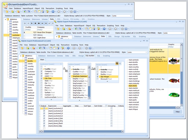 SQLite Expert Professional v5.5.32.643 (x86 & x64) + Portable Edition + License Key