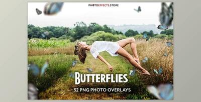 52+ Butterflies Photo Overlays 6414950 (PNG, PSD)