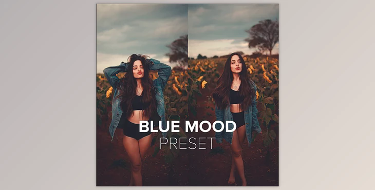 Luizclas – Blue Mood Preset (PC, Mobile)