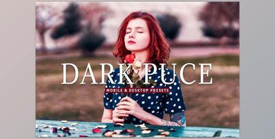 Dark Puce Pro Lightroom Presets CreativeMarket - 7375238