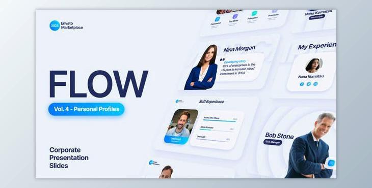Flow – Personal Profiles Scenes Pack (Videohive 45291941) - AE Project