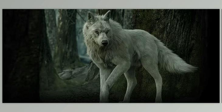 Autodesk - Mudbox v2026 (Win)
