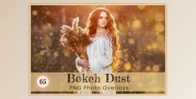 Bokeh Dust Photoshop Overlay Digital Art