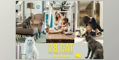 28 Cat Photoshop Overlays CreativeMarket - 6737913