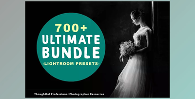 700+ Lightroom Presets Bundle 3061618