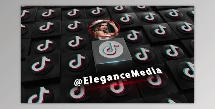 3d Tiktok Intro (Videohive 47600739) - PR Project