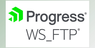 Progress WS_FTP Professional (Secure FTP Client Software) v12.8.7 + CRACK