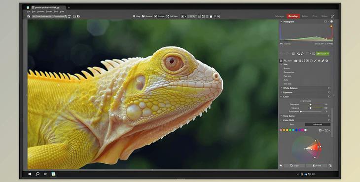 Zoner Photo Studio X v19.2503.2.621 (Win)