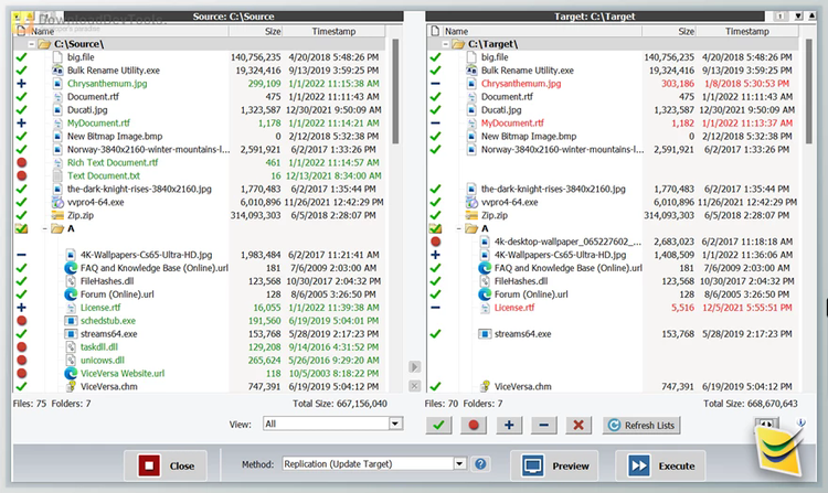 ViceVersa Pro v6 Build 6011 + License Key
