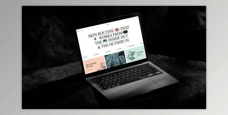 Presentation Website (Videohive 50114715) - AE Project