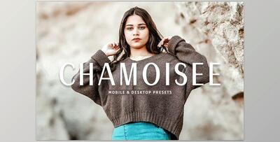 Chamoisee Pro Lightroom Presets CreativeMarket - 7375237