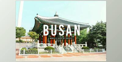 Busan Pro Lightroom Presets - 6811631