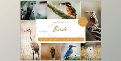 14 x Lightroom Presets, Birds CreativeMarket-6071305 (XMP, DNG, LRTemplate)
