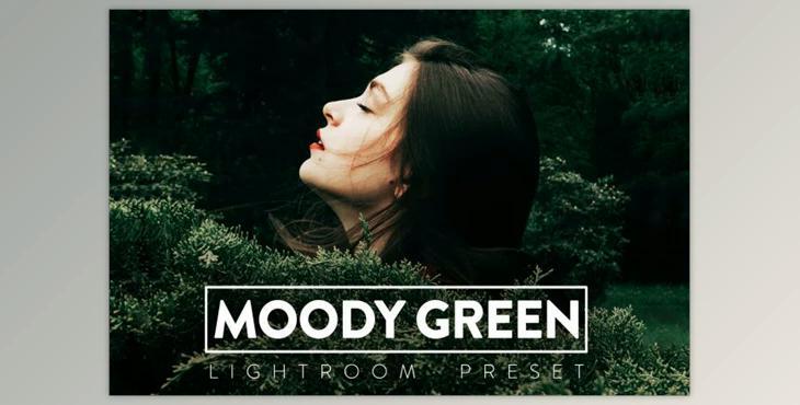 10 MOODY GREEN Lightroom Preset (LRTEMPLATE, XMP, DNG)
