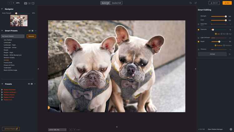 Radiant Photo 2.0.2.633 + Addons