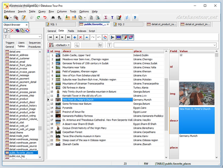 Database Tour Pro v11.3.6.1410 for Win Multilingual + Portable Edition + CRACK