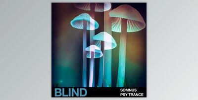 Blind Audio Somnus Psy Trance (WAV)