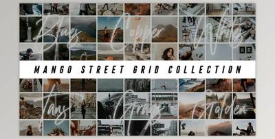 The Grid Collection - Mango Street Presets