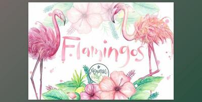 Flamingo Clipart Watercolor By Monique Digital Art