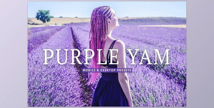 Purple Yam Pro Lightroom Presets CreativeMarket - 7382520