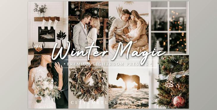 Natural Winter Magic LR Presets CreativeMarket - 10983799