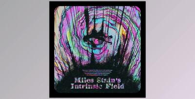 Miles Stain Intrinsic Field (Analog Lab V Bank)