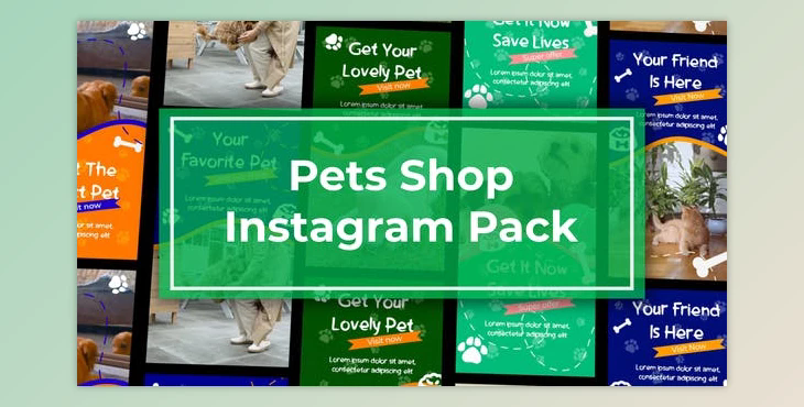 Pets Shop Instagram Reels (Videohive 47465669) - AE Project