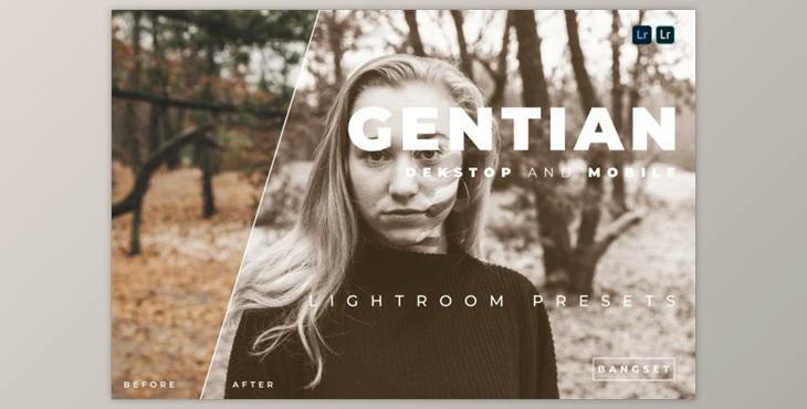 Gentian Desktop and Mobile Lightroom Preset by Bangset