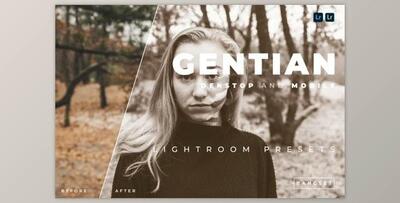 Gentian Desktop and Mobile Lightroom Preset by Bangset