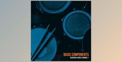Basic Components Essential Kicks & Snares 1