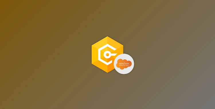 Devart dotConnect for Salesforce Marketing Cloud Professional v2.3.191 (14 Jan 2025) + Patcher