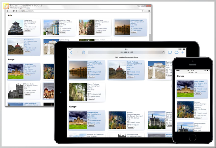 TMS IntraWeb Component Pack Pro Script Edition v5.9.5.0 (05 Feb 2025) Full Source