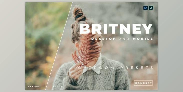 Britney Desktop and Mobile Lightroom Preset by Bangset