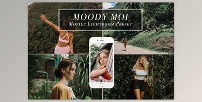 Mobile Lightroom Preset MOODY MOI CreativeMarket 3613902