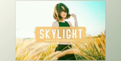 Skylight Pro Lightroom Presets CreativeMarket - 6834951