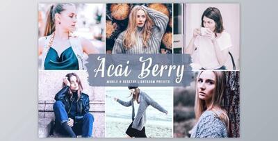 Acai Berry Mobile & Desktop Lightroom Presets by creativetacos