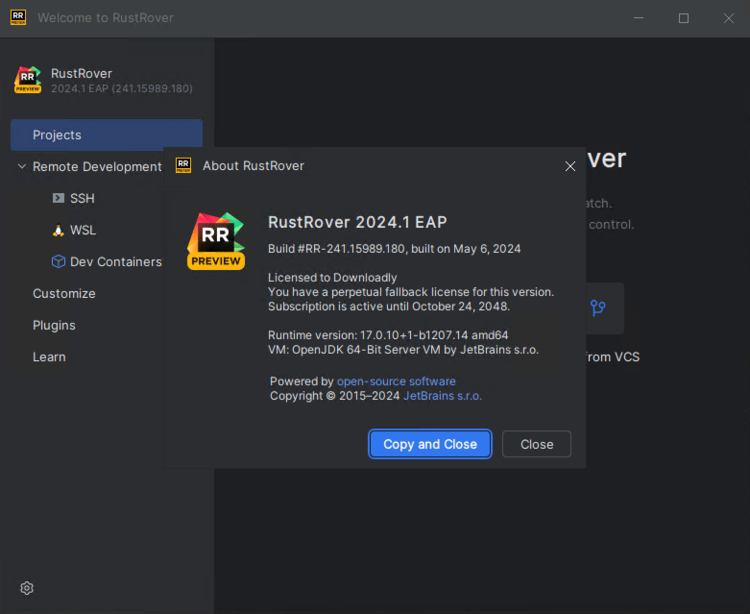 JetBrains RustRover 2024.3 x64