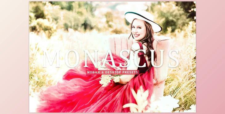 Monascus Pro Lightroom Presets CreativeMarket - 6924891