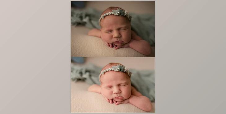 Appleseed Studio Preset Collection