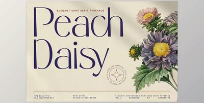 Peach Daisy Sans Serif Font CreativeMarket 6928251