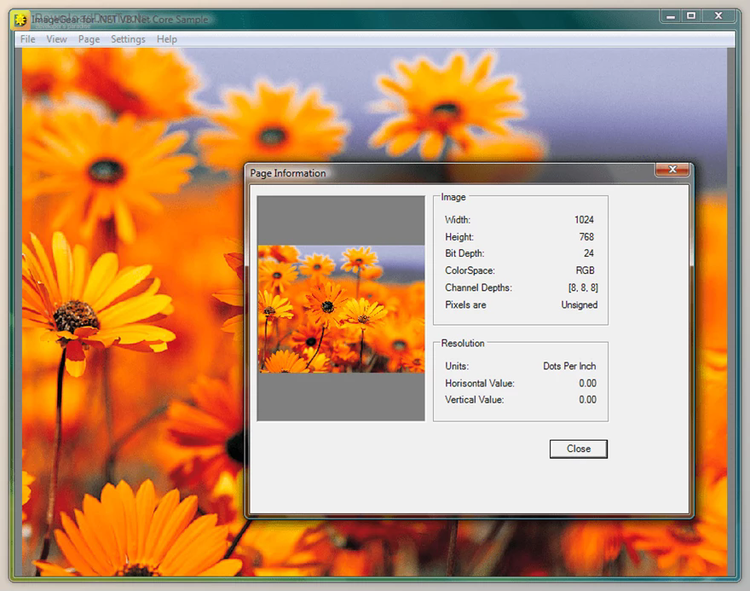 Accusoft ImageGear for .NET v26.4.0 (26 Apr 2024) x86 & x64 + CRACK