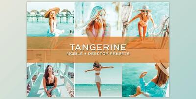 5 Blue and Orange Lightroom Presets By TheWayfarerShoppe (Mob, Desk)