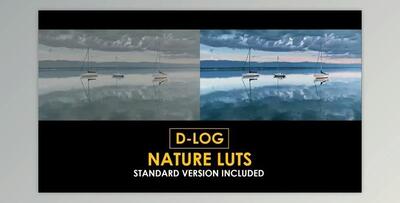 D-Log Cinema Drone Film Color LUTs (Videohive 50930932)