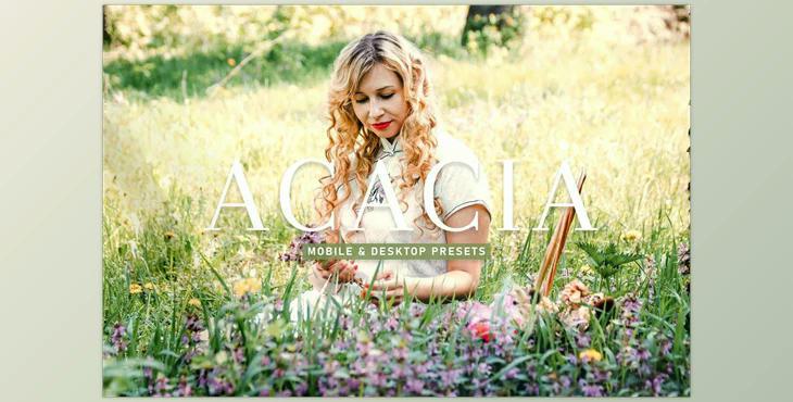 Acacia Pro Lightroom Presets CreativeMarket - 6925557