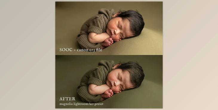 Jessica G. Magnolia lightroom presets