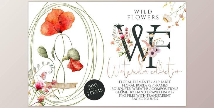 Wild Flowers watercolor collection CreativeMarket - 7113962
