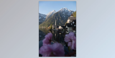 NORTHERNELG PRESET PACK